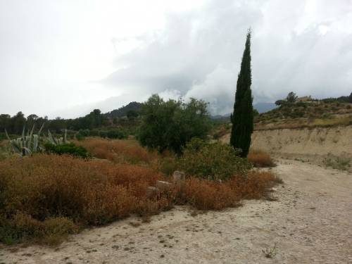 Relleu, Finca / Masia with 30 Ha.