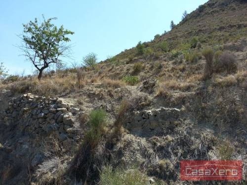 Relleu, 16.000m2 plot with planning permission and electricity