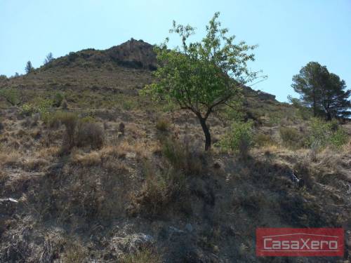 Relleu, 16.000m2 plot with planning permission and electricity