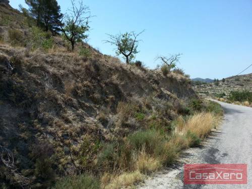 Relleu, 16.000m2 plot with planning permission and electricity
