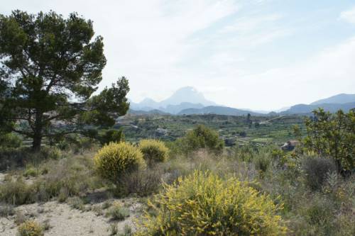 Relleu, plot: magnificent location, private and building License