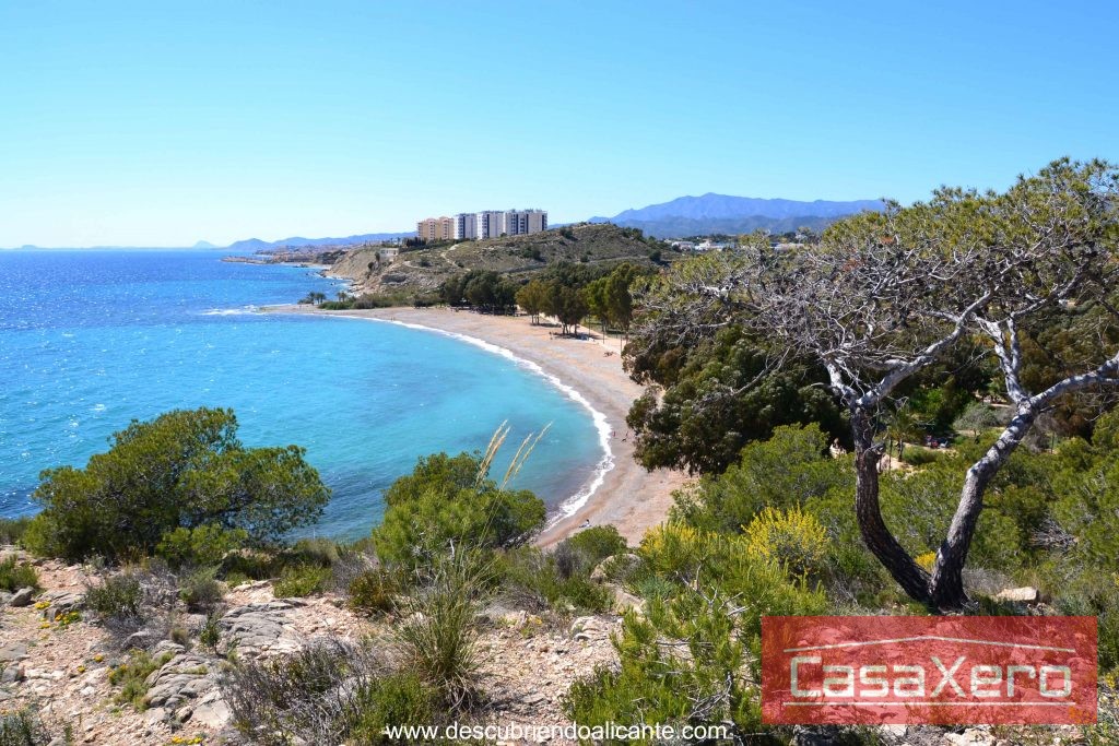 playa-el-torres-villajoyosa-desde-alto-1024x683